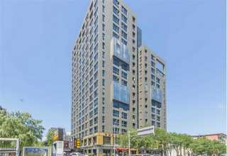 富源珠芽魔芋种子产地直销